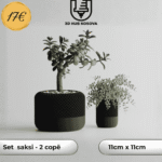 Set me saksi - Moderna